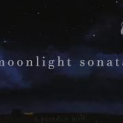 Beethoven Moonlight Sonata Slowed Reverb