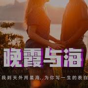 心墙 Dj版 诗南