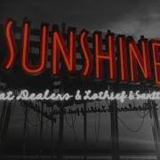 Sunshine Cat Dealers Скачать Песню