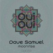 Dave Samuel Moonrise