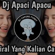 Apaci Apacu Remix