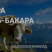 Сура Бакара Абдуллах Хумейд