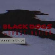 Black Dogs Ghost Nation