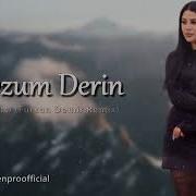 Furkan Demir Mevzum Derin Remix 2020