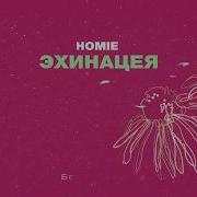 Homie Эхинацея