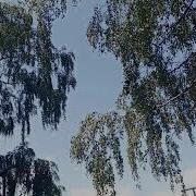 Песни На Троицу Воронежские