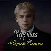 Черемуха Есенин Читает Безруков