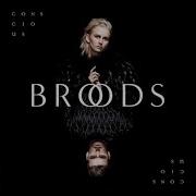 We Had Everything Broods