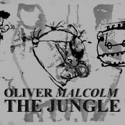 Oliver Malcolm The Jungle