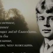 Анна Резникова Песнь О Собаке