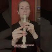 Tatflut Надежда Мой Компас Земной Блокфлейта