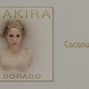 Coconut Tree Shakira