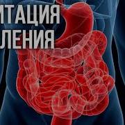 Медитацмя Исцеления Жкт