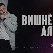 Виктор Могилатов Вишневая Аллея