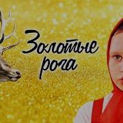 Олен Золотые Рога