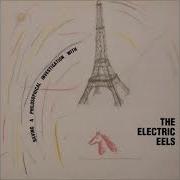 Electric Eels Full Album