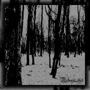Neboplachet