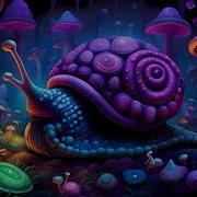 Micro Verse Psytrance Psychill Dj Mix 2023