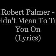 Robert Palmer I Didn T Mean To Turn You On Lyrics