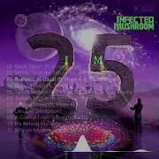 Infected Mushroom Im 25