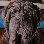 Моя Собака Идиот Трейлер На Русском