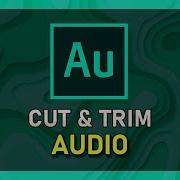 Trim Audio 2019