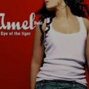 Eye Of The Tiger Amel Bent