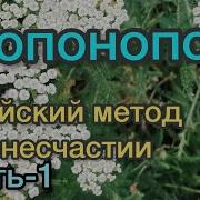 Хоопонопоно Древний Гавайский Метод Исполнения Желаний
