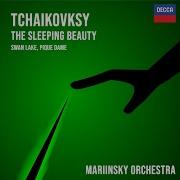Mariinsky Orchestra Swan Lake Op 20 Scene 1 Valse Tempo Di Valse