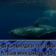 Ұстазым Менің Караоке