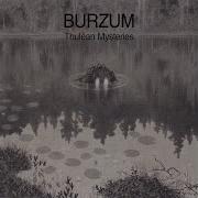 Skin Traveller Burzum