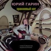 Юрий Гарин Оранжевый Кот