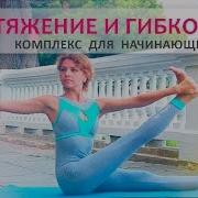 Гибкое Тело Вытяжения И Прогибы