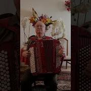 Белоснежные Розы На Баяне