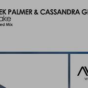 Awake Derek Palmer Cassandra Grey