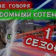 Бедный Котёнок