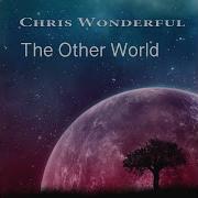 Anisotropic Universe Chris Wonderful