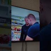 Легавый