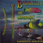 Broileriai