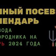 Календарь Умного Садовода И Огородника