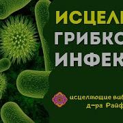 Квантовое Исцеление От Грибковых Инфекций Лечебными Частотами Исцеление Звуком