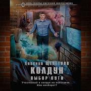 Колдун Выбор Пути Щепетнов Евгений Книга 1