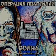Целое Из Дыр Операция Пластилин