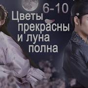 Цветы Прекрасны И Луна Полна