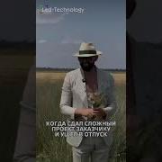 Прикол Про Отпуск