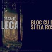 Daca Tu Ai Pleca Feat Doddy Ela Rose Bloc