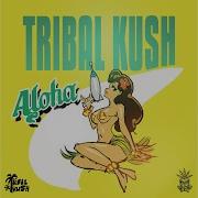 Aloha Tribal Kush