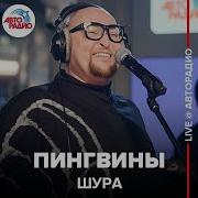 Шура Пингвины Авторадио