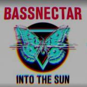 Bazznectar In Tho Sun