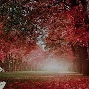 Beautiful Relaxing Music Romantic Music Piano Music Guitar Music Instrumental Music